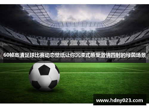 60帧高清足球比赛动态壁纸让你沉浸式感受激情四射的绿茵场景